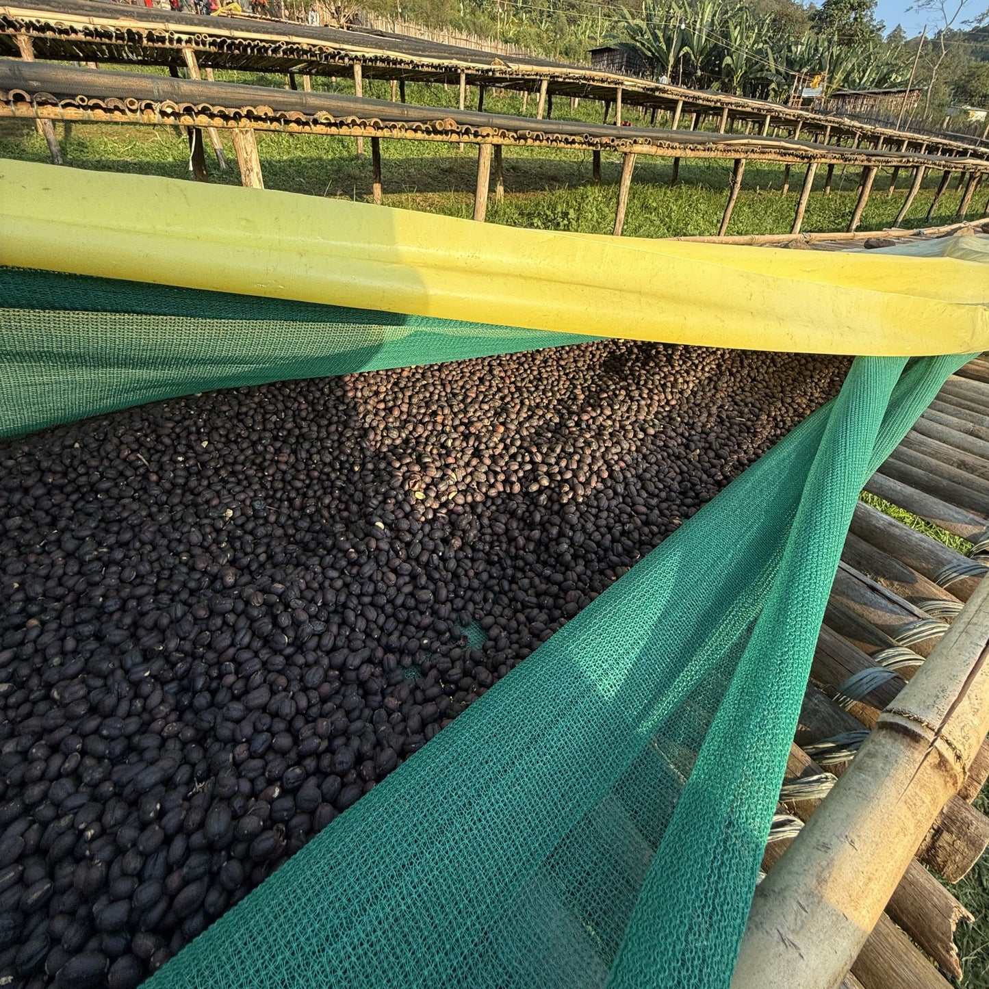 Ethiopia Bombe Natural 100g