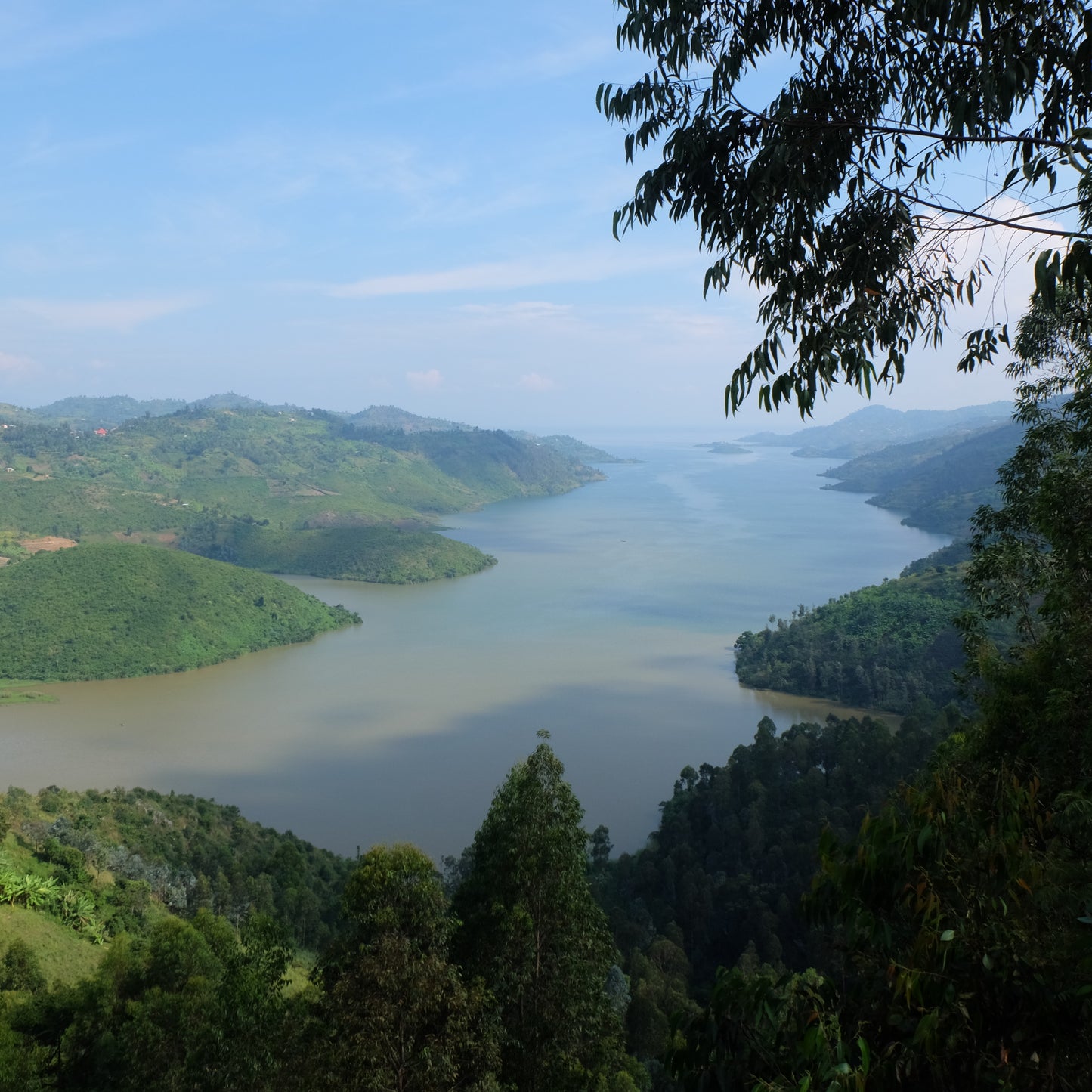 Rwanda Rugali 100g