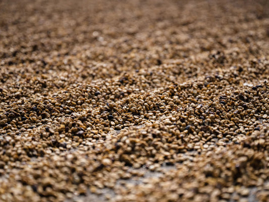 Yunnan YeastFermentation Honey 100g