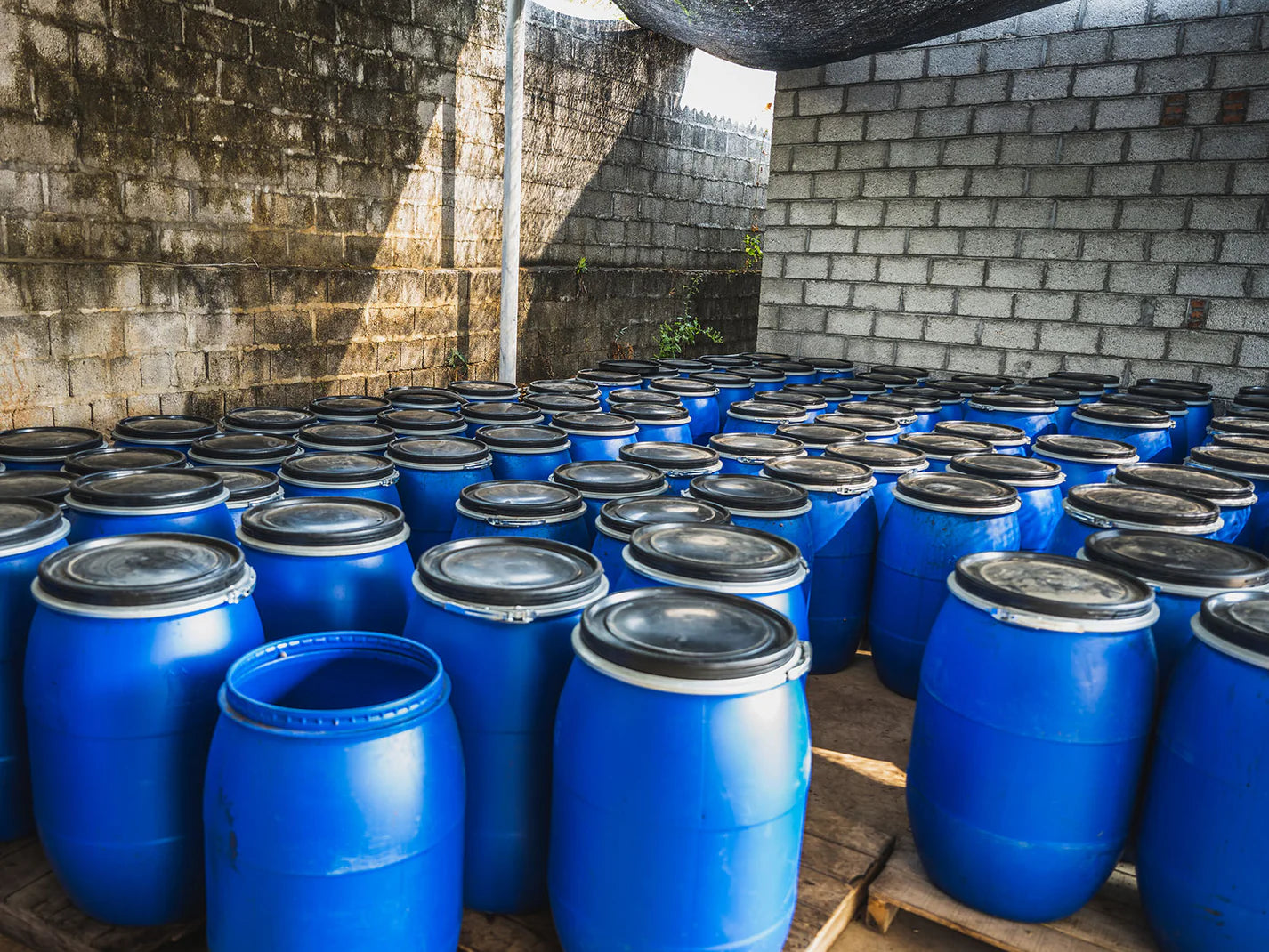 Yunnan YeastFermentation Honey 100g